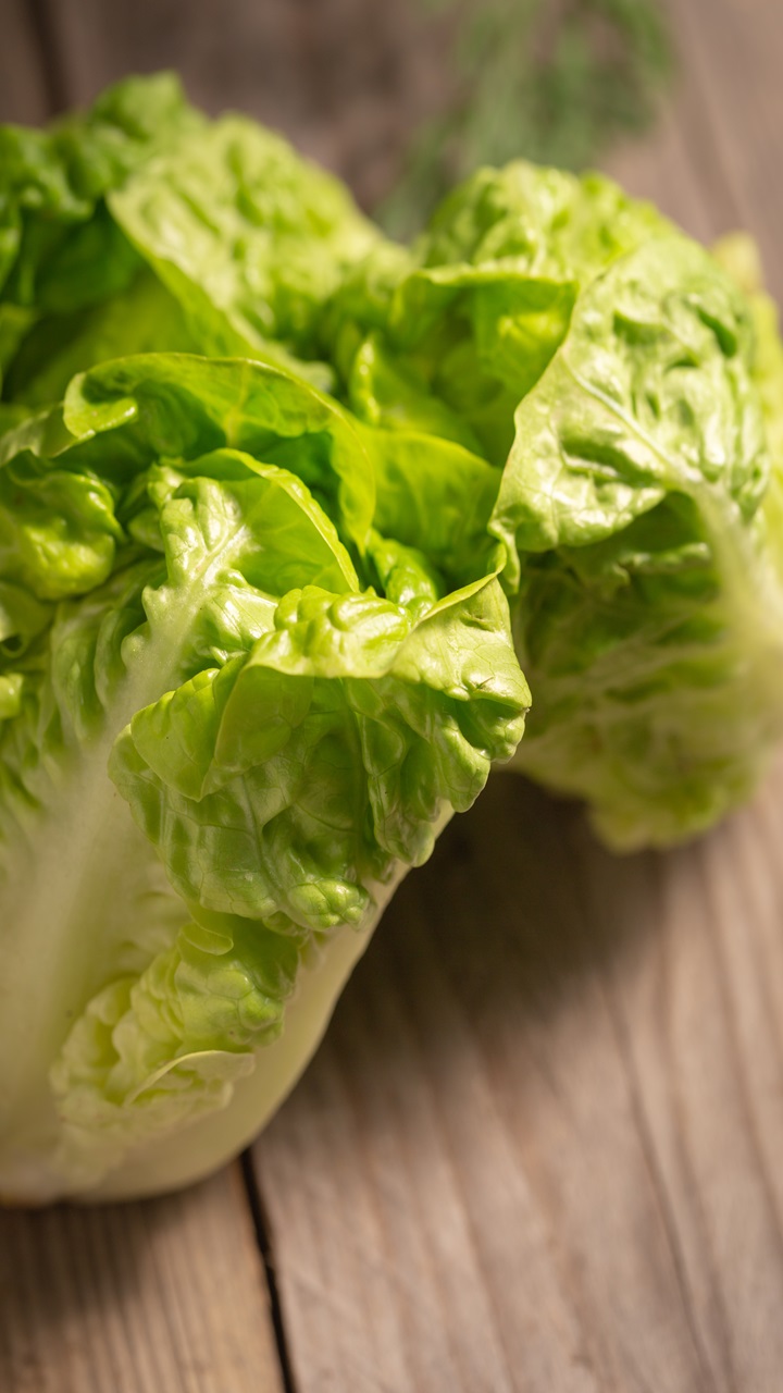 Amazing Health Benefits Of Lettuce