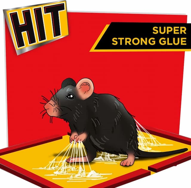 Godrej Hit Rat Glue Pad - Jumbo Pack Of 3