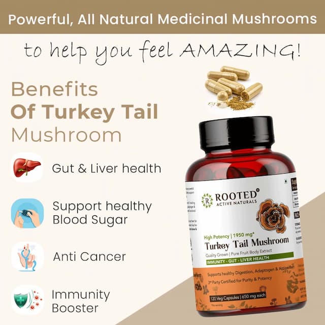 Rooted Actives- Turkey Tail Mushroom Extract 1950mg* -Pure Fruit Body Extract - 120 Veg Caps