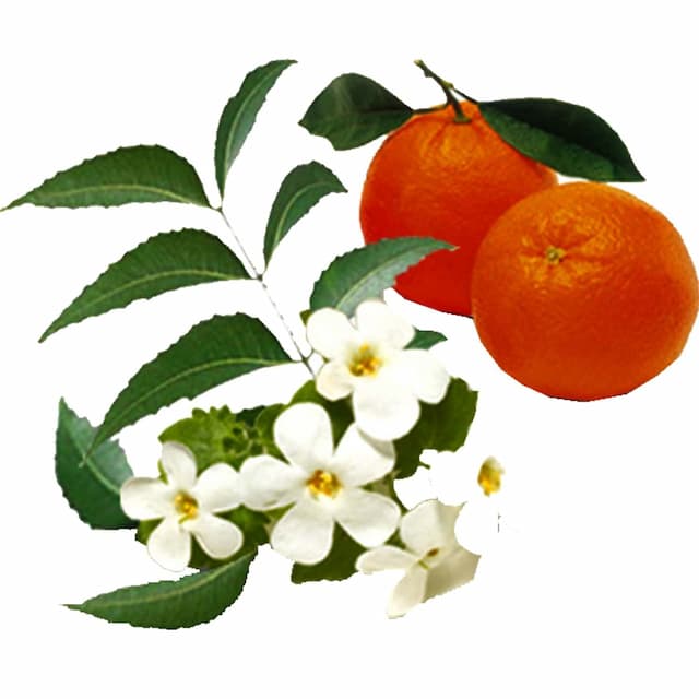 Bella Cotton Pads Round D-Panthenol And Orange Blossm Extract 70