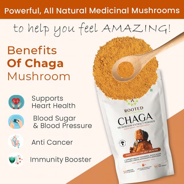 Rooted Actives -Chaga Mushroom Extract Powder - Pure Fruit Body Extract - 60gm