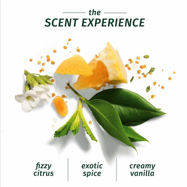 Herbal Essences Bio Renew Repair Herbal Oil Of Morocco Shampoo - 400ml
