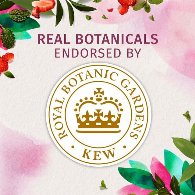Herbal Essences Bio Renew Clean White Strawberry And Sweer Mint Shampoo - 400ml