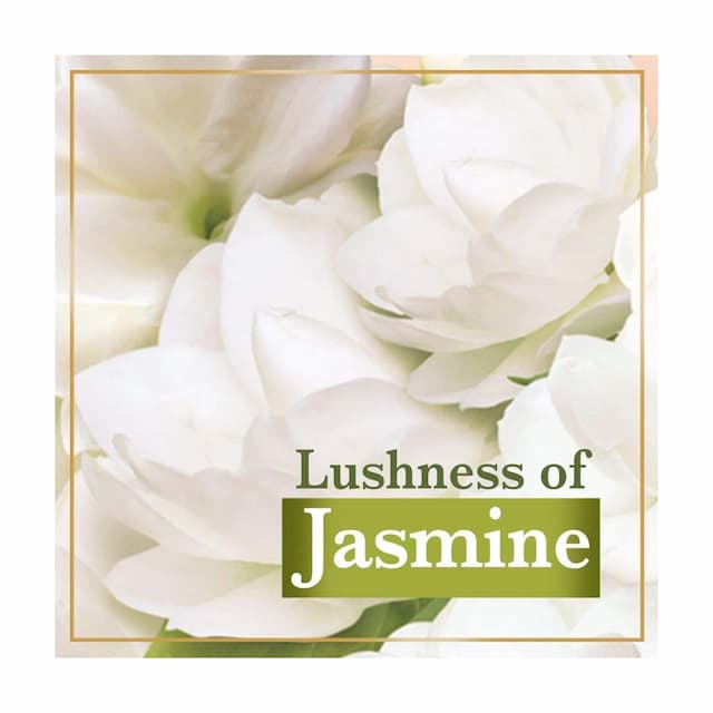 Lux Velvet Touch Jasmine And Almond Oil Soap Bar 3 X 150 Gm