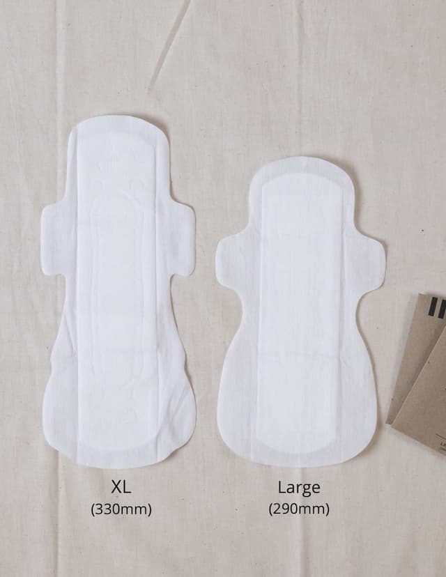 Carmesi Eco-Conscious - Sanitary Pads For Rash-Free + Eco-Friendly Periods (5 Large + 5 Xl)