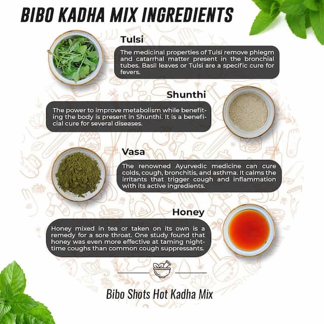 Bibo Shots - Hot Kadha Mix | Menthol & Ginger | Cough Cold Relief| Immunity L Pack Of 3 * 8 Shots