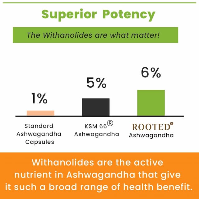 Rooted Actives - High Potency Ashwagandha Root 1600mg* - (6% Withanolides) - 120 Veg Caps
