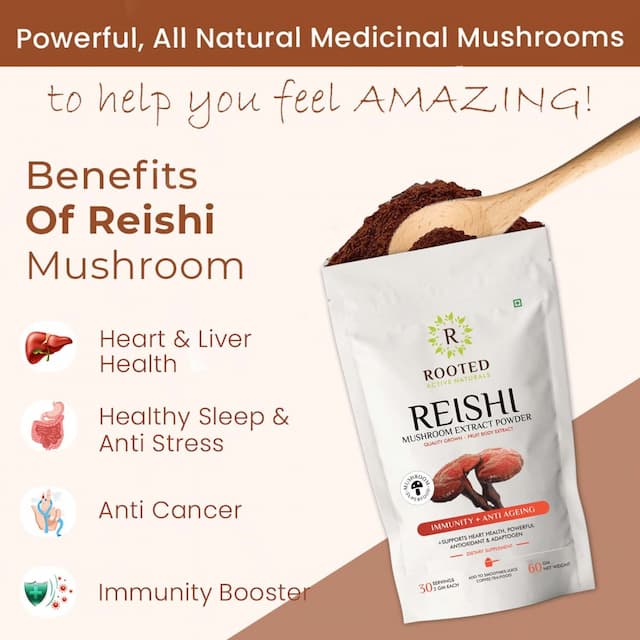 Rooted Actives - Reishi Mushroom Extract Powder - Pure Fruit Body Extract- 60gm