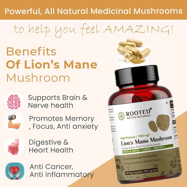 Rooted Actives- Lions Mane Mushroom Extract 1950mg* - Pure Fruit Body Extract - 120 Veg Capsules