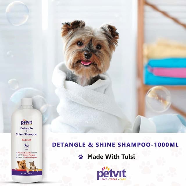 Petvit Detangle & Shine Shampoo With Tulsi Oil Detangles & Conditions For All Breed Dog/Cat 1000 Ml