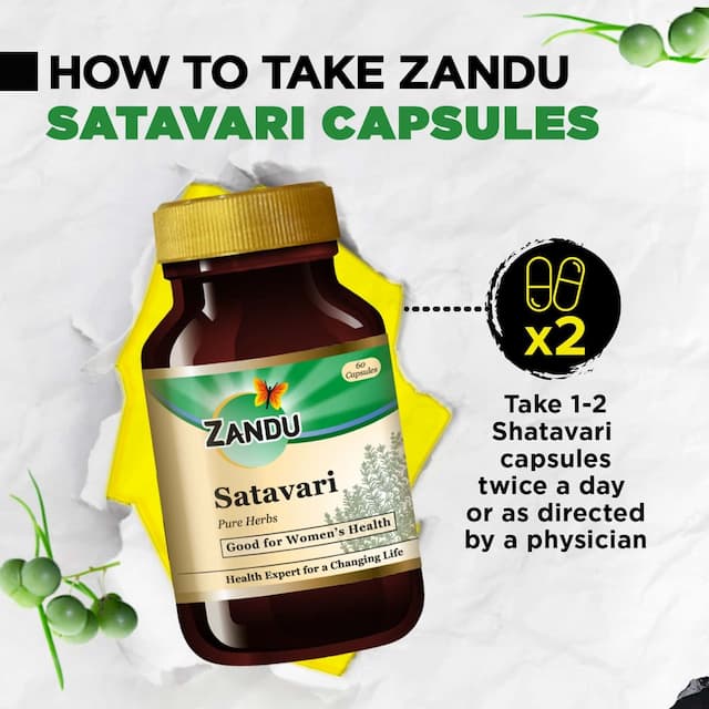 Zandu Satavari Pure Herbs Lactation Capsules Bottle Of 60