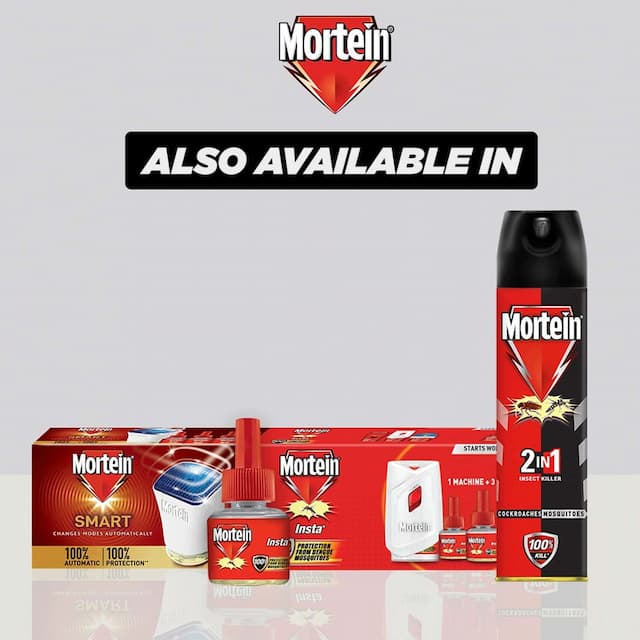 Mortein All Insect Killer - 600 Ml