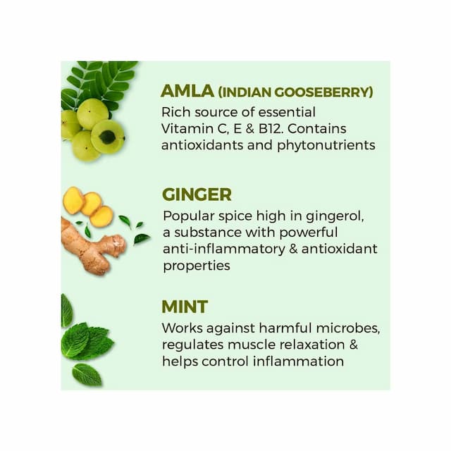 Akiva Love Vitamin C Shots With Amla Ginger Mint (15 Shots X 40ml) - 600ml