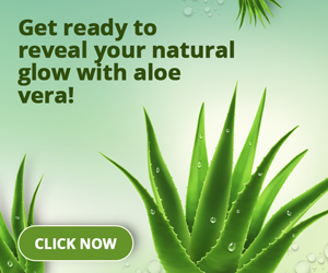 Aloe Vera für die Haut 