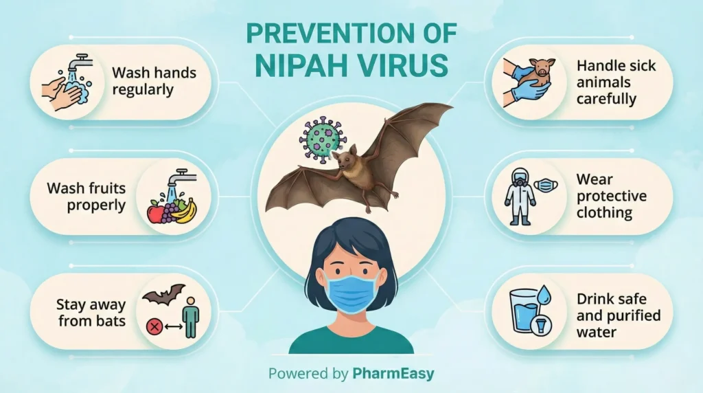 prevention of nipah virus 