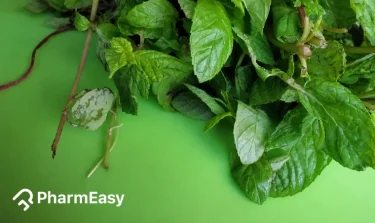 mint leaves benefits