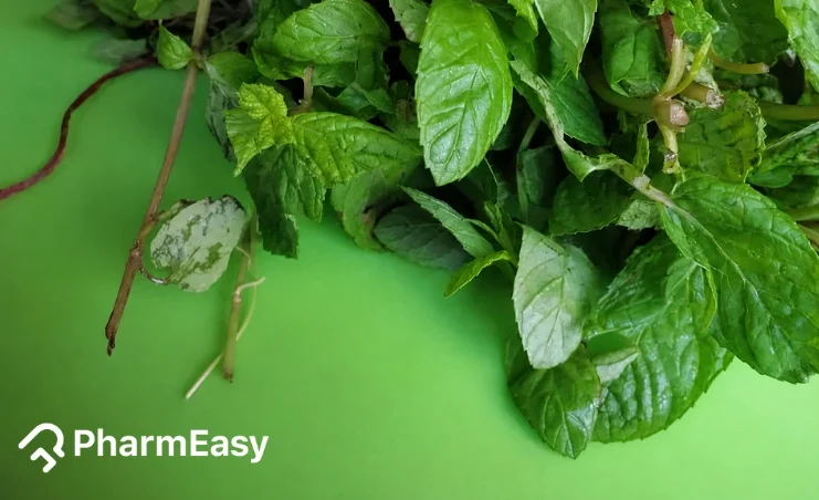 mint leaves benefits