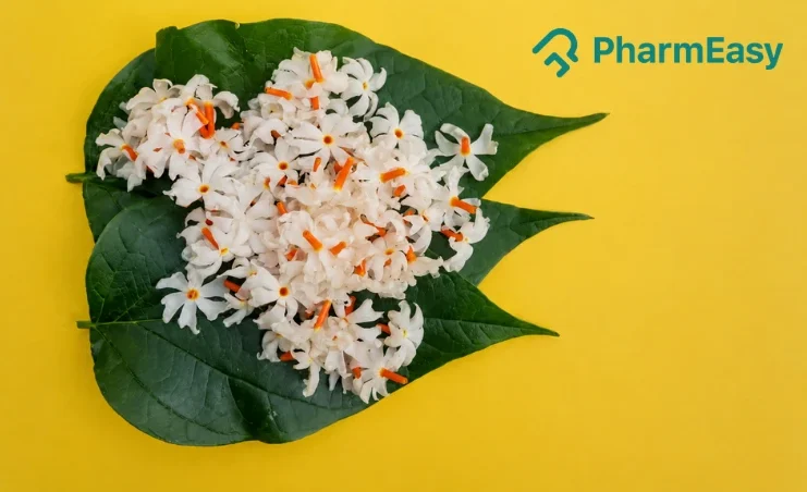 parijat leaves and flowers