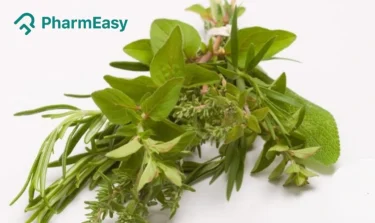 8 Effective Herbs