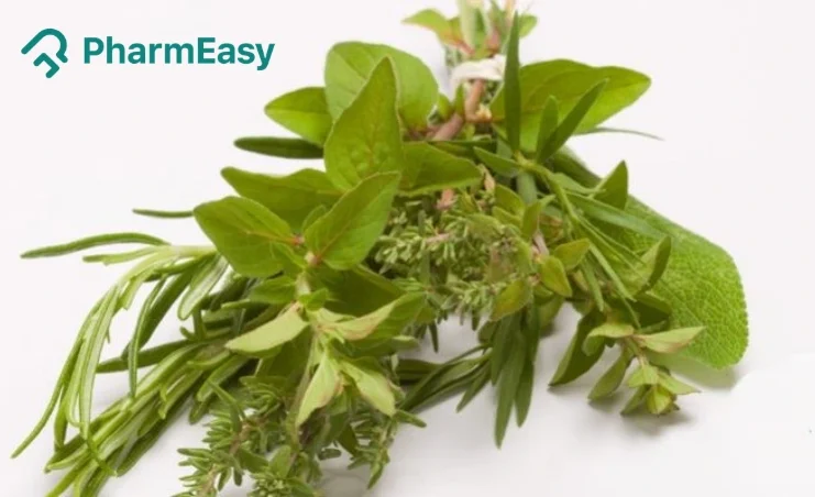 8 Effective Herbs