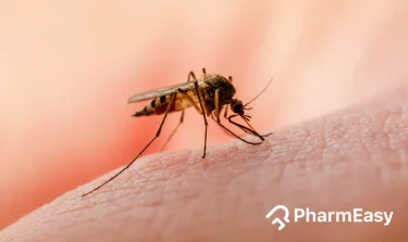 Dengue