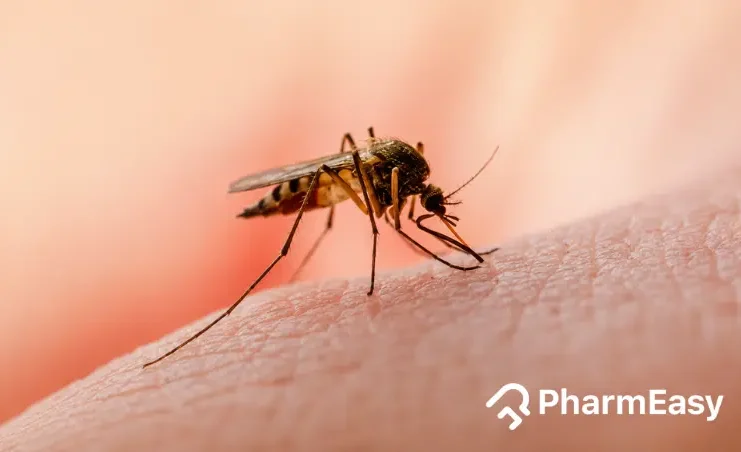 Dengue