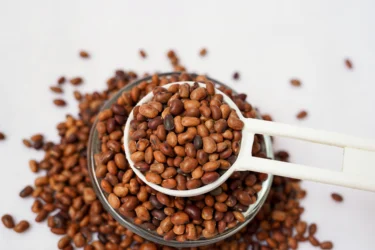 antioxidant activity of kulthi dal