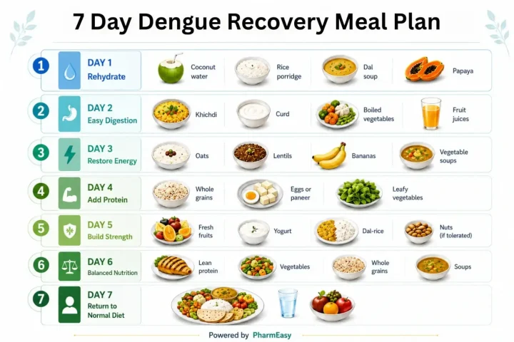 dengue recovery meal plan