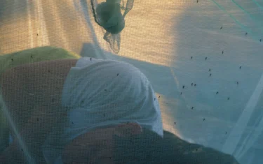 sleep under mosquito net