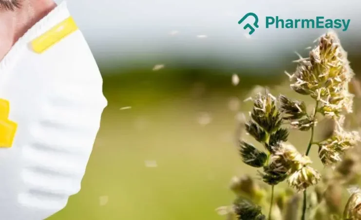 Home Remedies For Seasonal