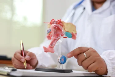 central nervous system