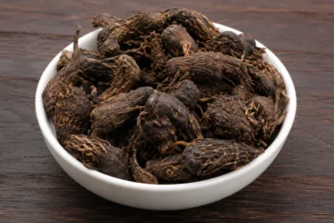 nagarmotha