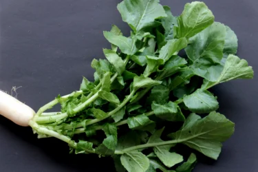 radish green leaves