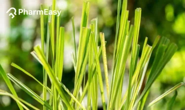 lemongrass