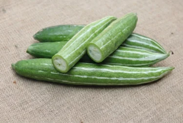 Snake Gourd