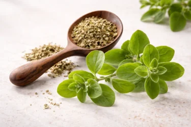 oregano