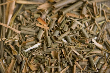 white willow bark