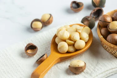 macadamia nut