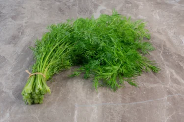 dill leaves