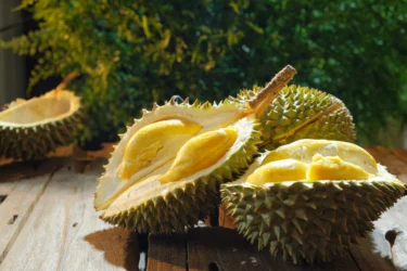 durian 