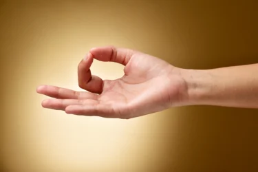 gyan mudra for gland function and hormones