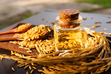 rice bran oil