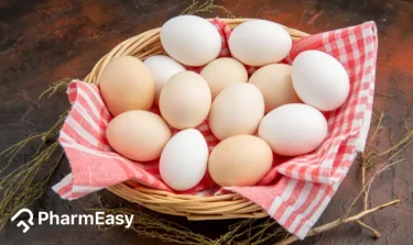 egg