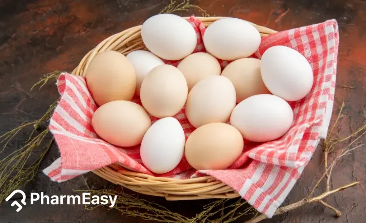 egg