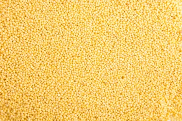 Foxtail Millets