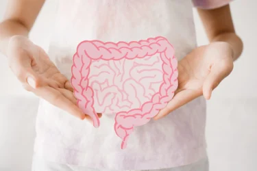 intestine