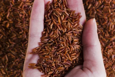 Red Rice