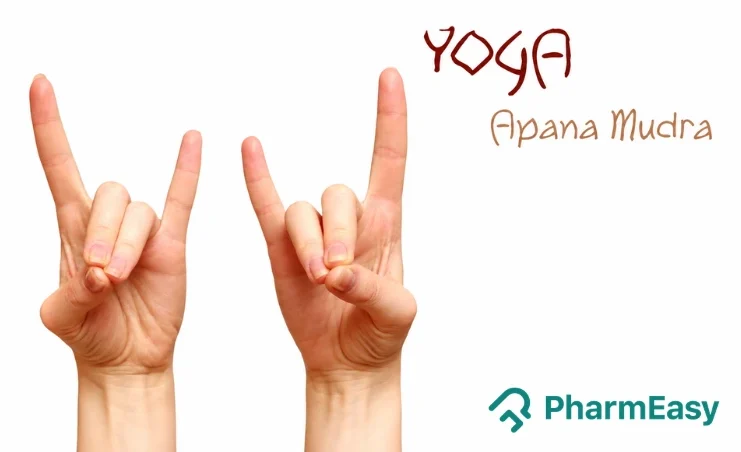 Apana Mudra