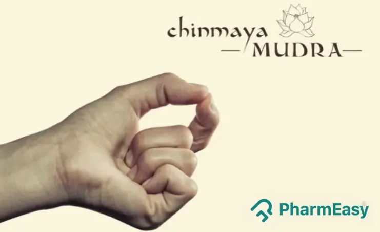 Chinmaya Mudra
