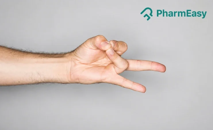 Rudra Mudra
